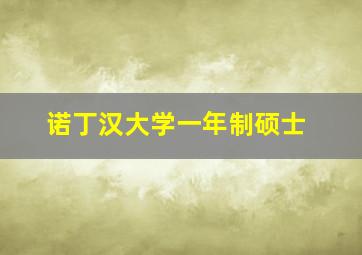 诺丁汉大学一年制硕士