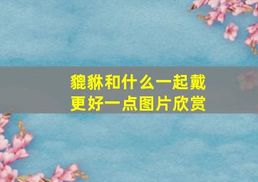 貔貅和什么一起戴更好一点图片欣赏