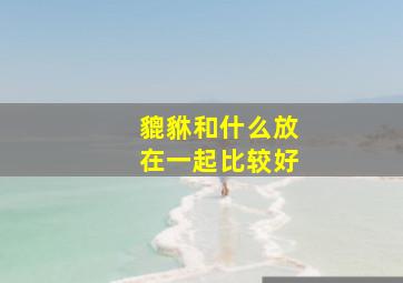 貔貅和什么放在一起比较好