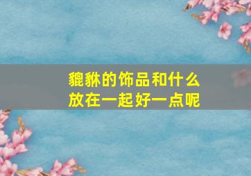 貔貅的饰品和什么放在一起好一点呢