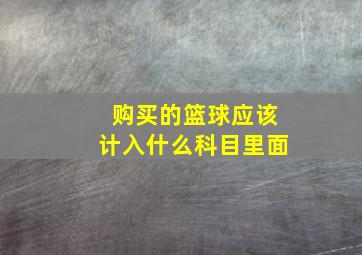 购买的篮球应该计入什么科目里面