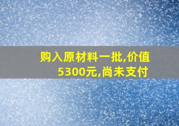 购入原材料一批,价值5300元,尚未支付