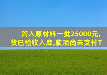 购入原材料一批25000元,货已验收入库,款项尚未支付T