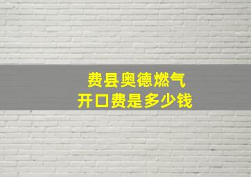 费县奥德燃气开口费是多少钱