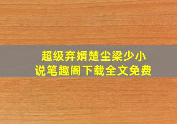 超级弃婿楚尘梁少小说笔趣阁下载全文免费