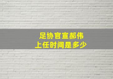 足协官宣郝伟上任时间是多少