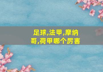 足球,法甲,摩纳哥,荷甲哪个厉害