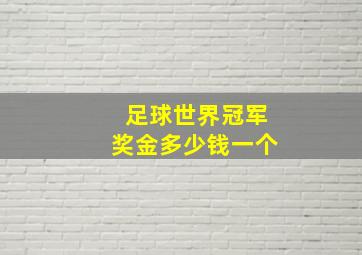 足球世界冠军奖金多少钱一个