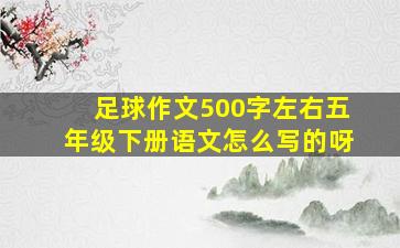 足球作文500字左右五年级下册语文怎么写的呀