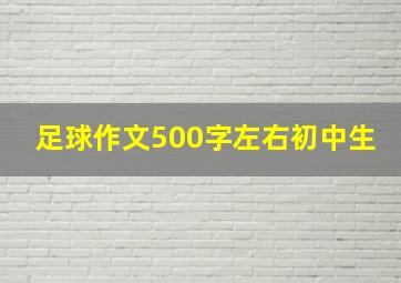 足球作文500字左右初中生