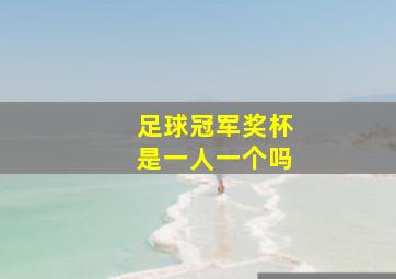 足球冠军奖杯是一人一个吗