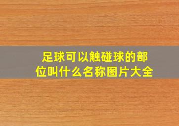 足球可以触碰球的部位叫什么名称图片大全