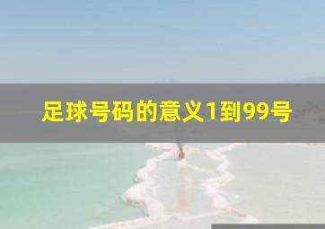 足球号码的意义1到99号