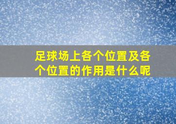 足球场上各个位置及各个位置的作用是什么呢