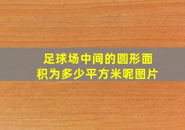 足球场中间的圆形面积为多少平方米呢图片