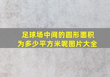 足球场中间的圆形面积为多少平方米呢图片大全