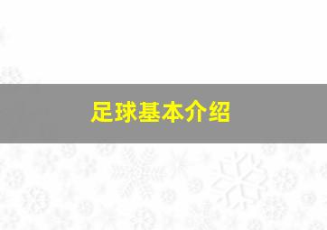 足球基本介绍