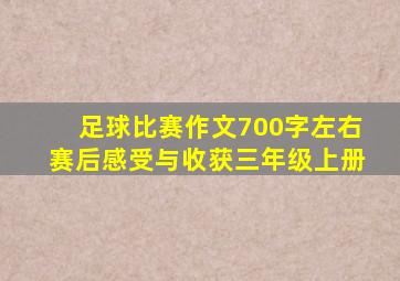 足球比赛作文700字左右赛后感受与收获三年级上册