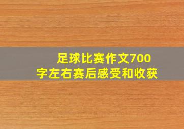 足球比赛作文700字左右赛后感受和收获