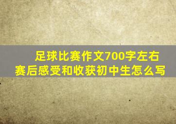 足球比赛作文700字左右赛后感受和收获初中生怎么写