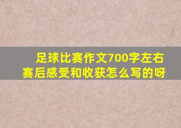 足球比赛作文700字左右赛后感受和收获怎么写的呀