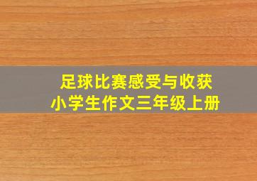 足球比赛感受与收获小学生作文三年级上册