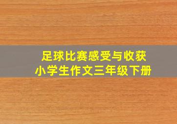 足球比赛感受与收获小学生作文三年级下册