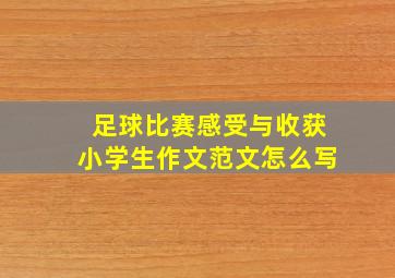 足球比赛感受与收获小学生作文范文怎么写