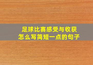 足球比赛感受与收获怎么写简短一点的句子