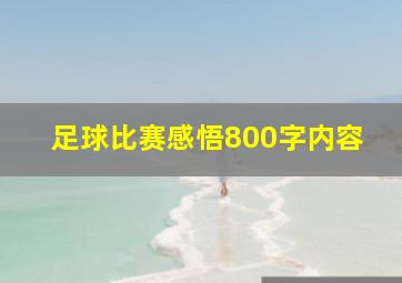 足球比赛感悟800字内容