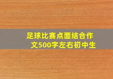 足球比赛点面结合作文500字左右初中生