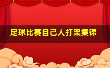 足球比赛自己人打架集锦