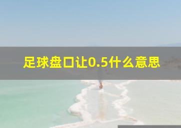 足球盘口让0.5什么意思