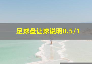 足球盘让球说明0.5/1