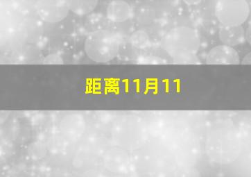 距离11月11