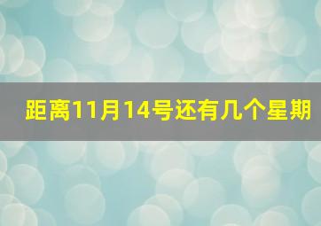 距离11月14号还有几个星期