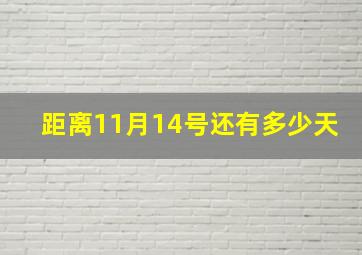 距离11月14号还有多少天