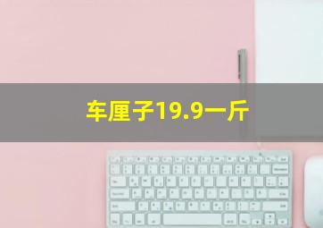 车厘子19.9一斤