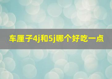 车厘子4j和5j哪个好吃一点