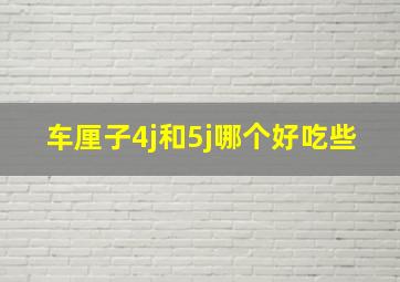 车厘子4j和5j哪个好吃些