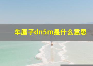 车厘子dn5m是什么意思