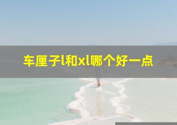 车厘子l和xl哪个好一点