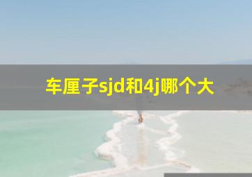 车厘子sjd和4j哪个大