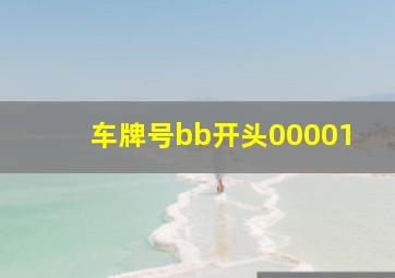 车牌号bb开头00001