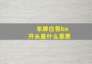 车牌白色bx开头是什么意思