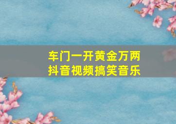 车门一开黄金万两抖音视频搞笑音乐