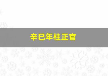 辛巳年柱正官