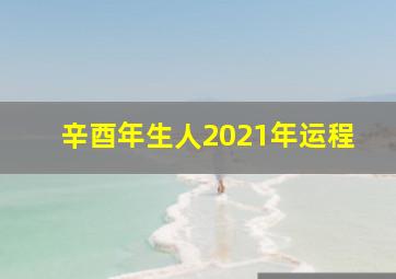 辛酉年生人2021年运程