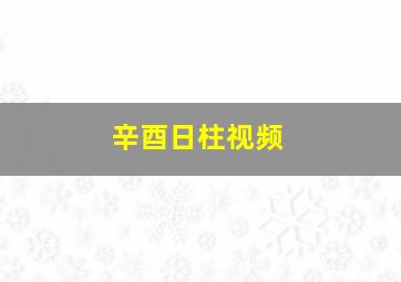 辛酉日柱视频