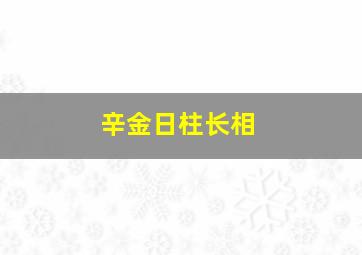 辛金日柱长相